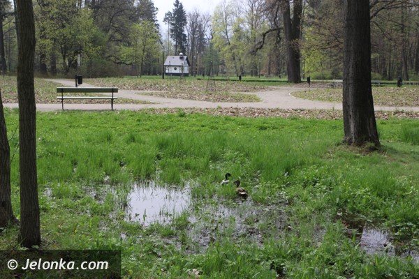 park-zdrojowy-wciaz-do-poprawki-foto-46428