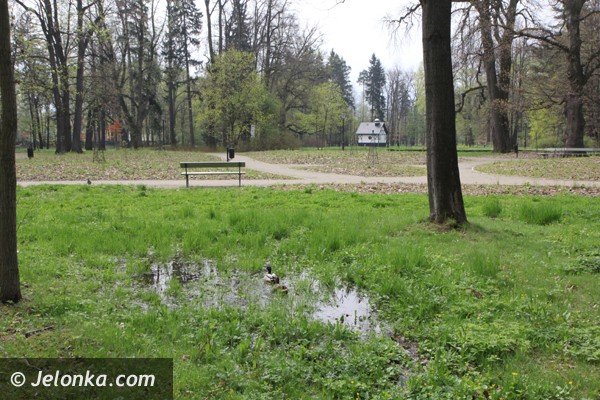 park-zdrojowy-wciaz-do-poprawki-foto-46428