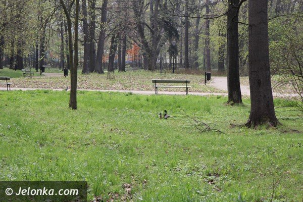 park-zdrojowy-wciaz-do-poprawki-foto-46428