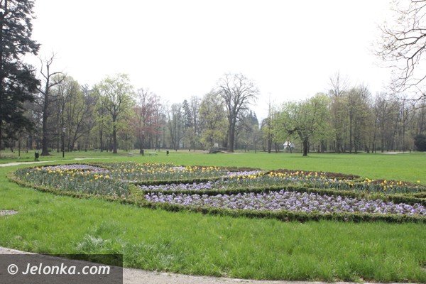 park-zdrojowy-wciaz-do-poprawki-foto-46428