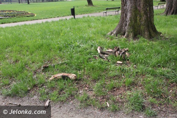 park-zdrojowy-wciaz-do-poprawki-foto-46428
