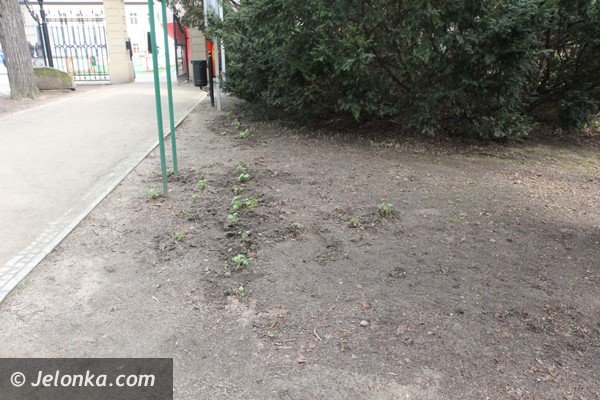 park-zdrojowy-wciaz-do-poprawki-foto-46428