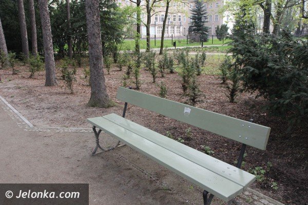 park-zdrojowy-wciaz-do-poprawki-foto-46428
