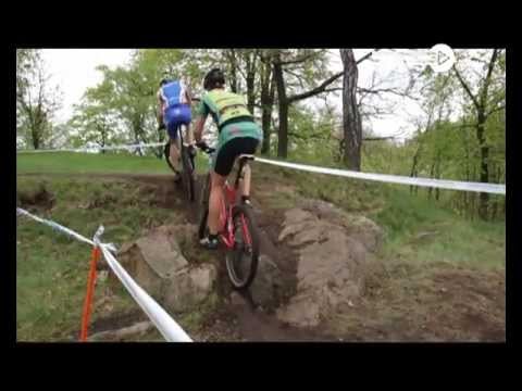 dziennik-2013-05-13-46441