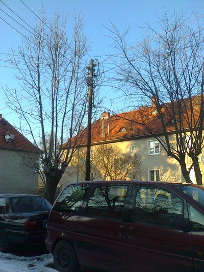 czytelnik-konary-drzew-miedzy-liniami-energetycznymi-pod-napieciem-foto-46447
