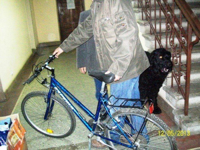 jeleniogorzanie-szeroko-otworzyli-serca-dla-potrzebujacych-i-pospieszyli-z-darami-foto-46452