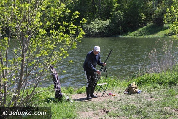 sniete-i-chore-ryby-w-tzw-balatonie-w-staniszowie-foto-46506