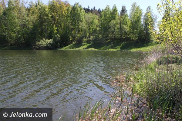 sniete-i-chore-ryby-w-tzw-balatonie-w-staniszowie-foto-46506