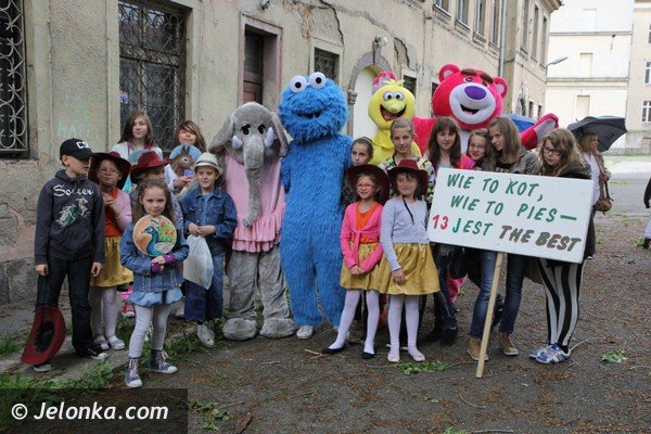 miosnicy-zwierzat-spotkali-sie-na-dorocznej-majowce-foto-46541