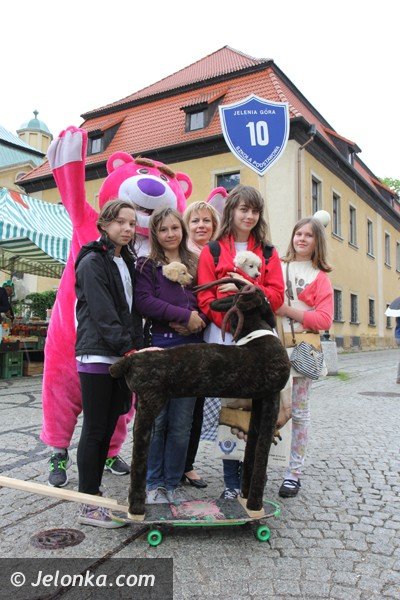miosnicy-zwierzat-spotkali-sie-na-dorocznej-majowce-foto-46541
