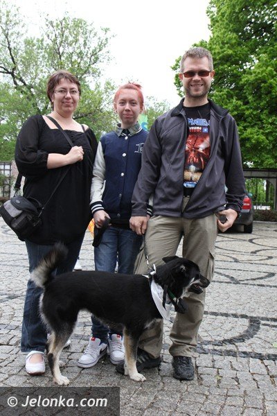 miosnicy-zwierzat-spotkali-sie-na-dorocznej-majowce-foto-46541