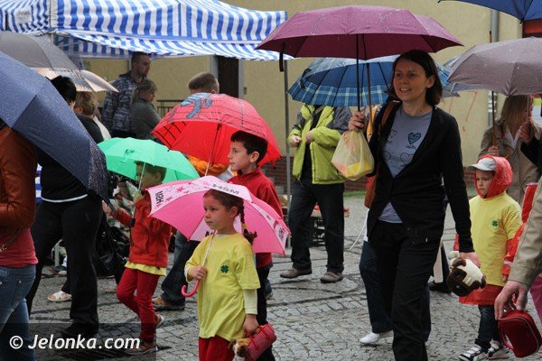 miosnicy-zwierzat-spotkali-sie-na-dorocznej-majowce-foto-46541
