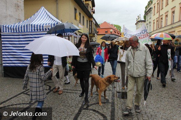 miosnicy-zwierzat-spotkali-sie-na-dorocznej-majowce-foto-46541