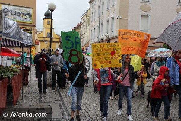 miosnicy-zwierzat-spotkali-sie-na-dorocznej-majowce-foto-46541