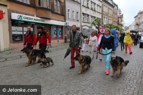miosnicy-zwierzat-spotkali-sie-na-dorocznej-majowce-foto-46541
