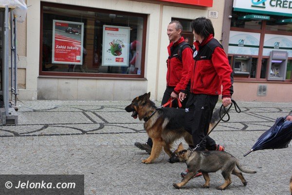 miosnicy-zwierzat-spotkali-sie-na-dorocznej-majowce-foto-46541