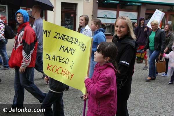 miosnicy-zwierzat-spotkali-sie-na-dorocznej-majowce-foto-46541