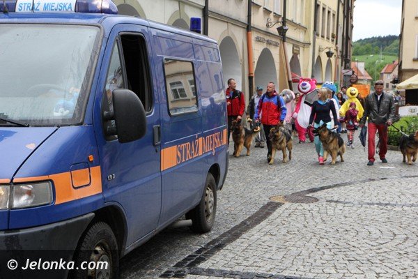 miosnicy-zwierzat-spotkali-sie-na-dorocznej-majowce-foto-46541