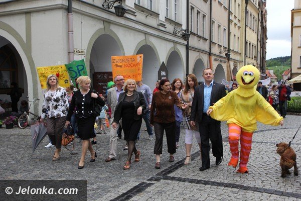 miosnicy-zwierzat-spotkali-sie-na-dorocznej-majowce-foto-46541