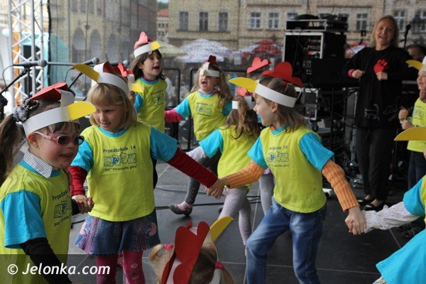 miosnicy-zwierzat-spotkali-sie-na-dorocznej-majowce-foto-46541