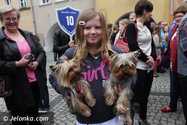 miosnicy-zwierzat-spotkali-sie-na-dorocznej-majowce-foto-46541