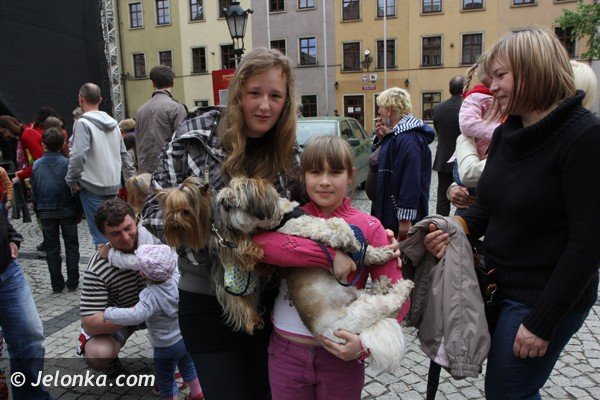 miosnicy-zwierzat-spotkali-sie-na-dorocznej-majowce-foto-46541