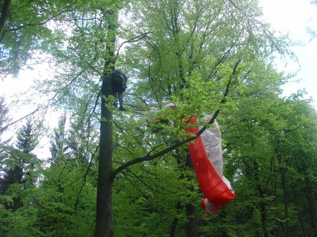 paralotniarz-zawis-na-drzewie-w-okolicach-swieradowa-zdroju-foto-46550