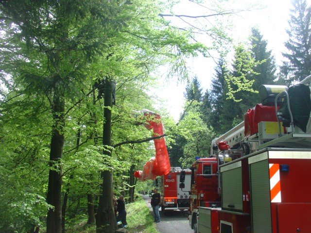paralotniarz-zawis-na-drzewie-w-okolicach-swieradowa-zdroju-foto-46550