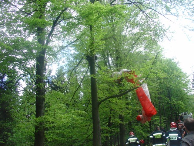paralotniarz-zawis-na-drzewie-w-okolicach-swieradowa-zdroju-foto-46550