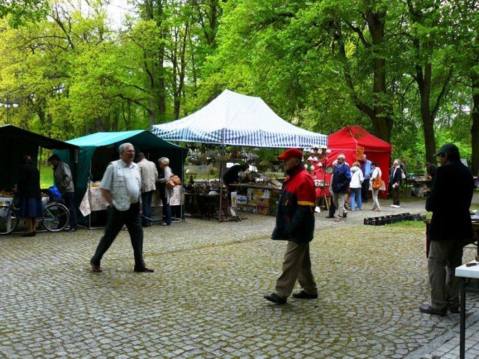starocie-kroloway-w-cieplicach-foto-46558