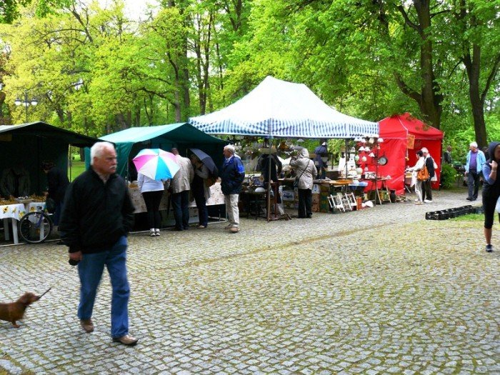starocie-kroloway-w-cieplicach-foto-46558
