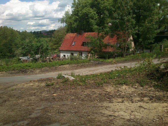 przy-drodze-na-paulinum-wycieto-prawie-200-drzew-foto-46678