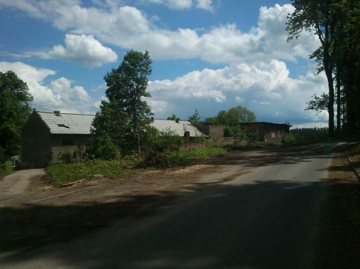 przy-drodze-na-paulinum-wycieto-prawie-200-drzew-foto-46678