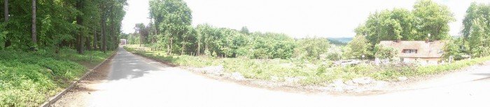 przy-drodze-na-paulinum-wycieto-prawie-200-drzew-foto-46678