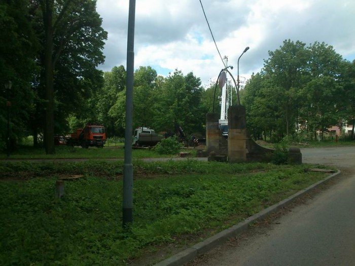 przy-drodze-na-paulinum-wycieto-prawie-200-drzew-foto-46678