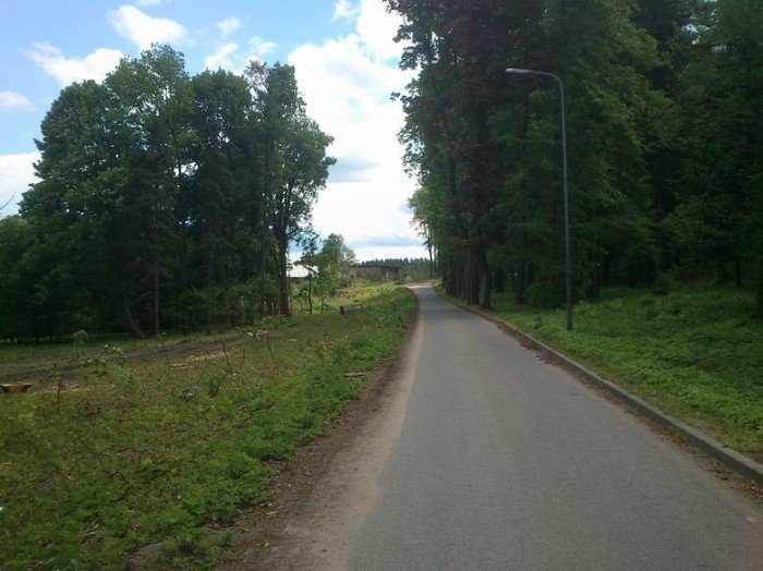 przy-drodze-na-paulinum-wycieto-prawie-200-drzew-foto-46678