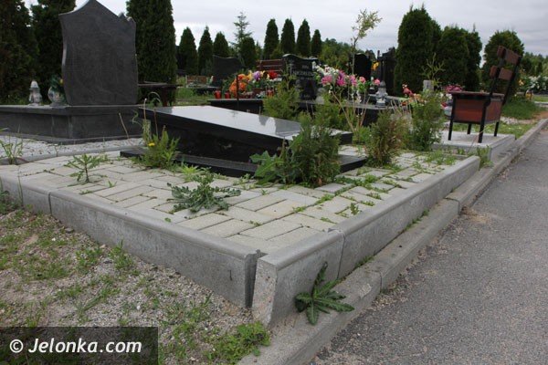 porzadki-prawne-na-jeleniogorskich-cmentarzach-foto-46712