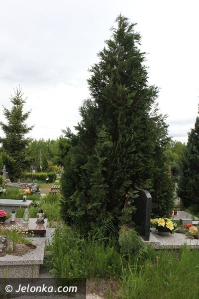 porzadki-prawne-na-jeleniogorskich-cmentarzach-foto-46712