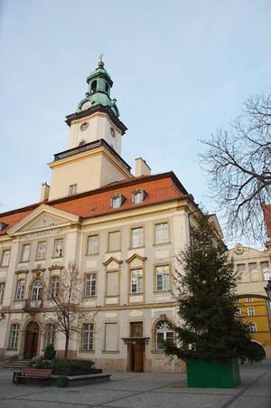mamy-juz-choinke-na-placu-ratuszowym-4676