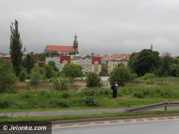 bobr-zala-droge-przy-estakadzie-obok-tesco-i-kilka-drog-w-powiecie-foto-46800