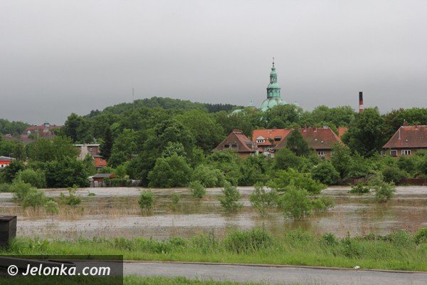 bobr-zala-droge-przy-estakadzie-obok-tesco-i-kilka-drog-w-powiecie-foto-46800
