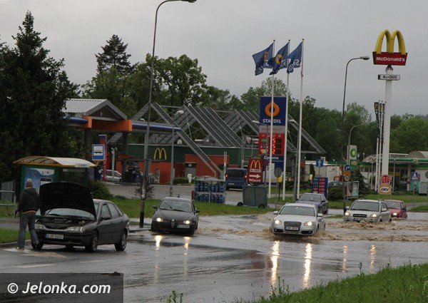 bobr-zala-droge-przy-estakadzie-obok-tesco-i-kilka-drog-w-powiecie-foto-46800