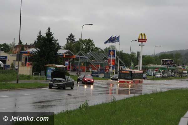 bobr-zala-droge-przy-estakadzie-obok-tesco-i-kilka-drog-w-powiecie-foto-46800
