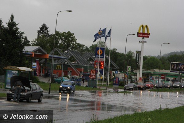 bobr-zala-droge-przy-estakadzie-obok-tesco-i-kilka-drog-w-powiecie-foto-46800