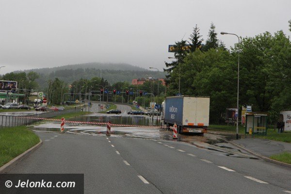 bobr-zala-droge-przy-estakadzie-obok-tesco-i-kilka-drog-w-powiecie-foto-46800