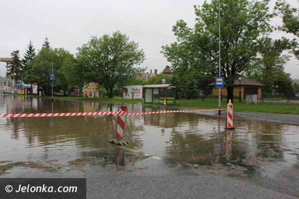 bobr-zala-droge-przy-estakadzie-obok-tesco-i-kilka-drog-w-powiecie-foto-46800