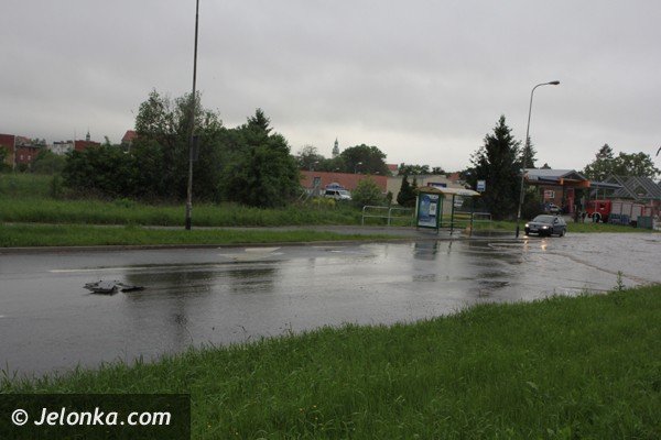 bobr-zala-droge-przy-estakadzie-obok-tesco-i-kilka-drog-w-powiecie-foto-46800