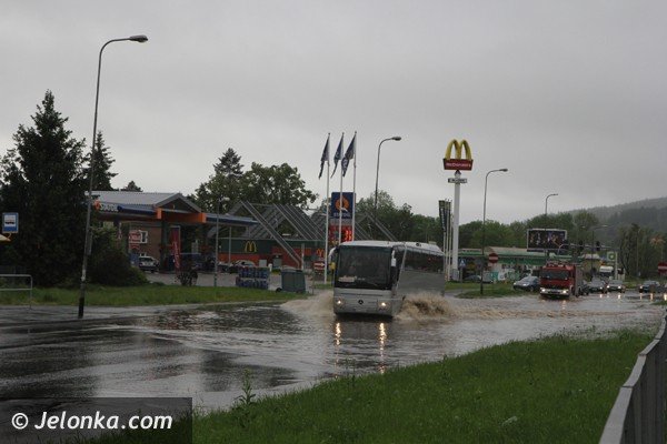 bobr-zala-droge-przy-estakadzie-obok-tesco-i-kilka-drog-w-powiecie-foto-46800
