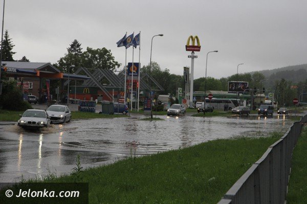 bobr-zala-droge-przy-estakadzie-obok-tesco-i-kilka-drog-w-powiecie-foto-46800