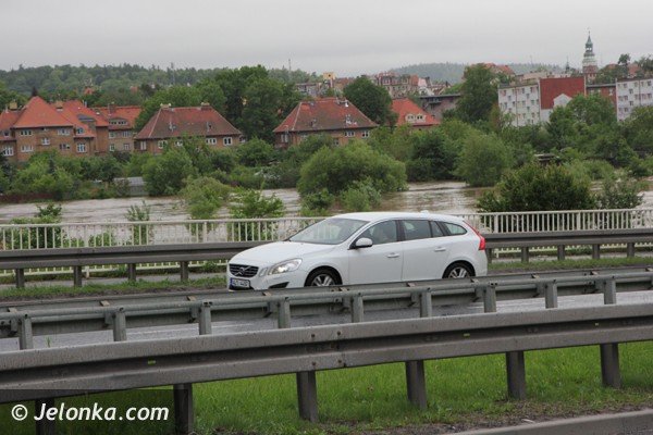 bobr-zala-droge-przy-estakadzie-obok-tesco-i-kilka-drog-w-powiecie-foto-46800